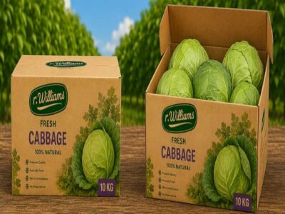 cabbage