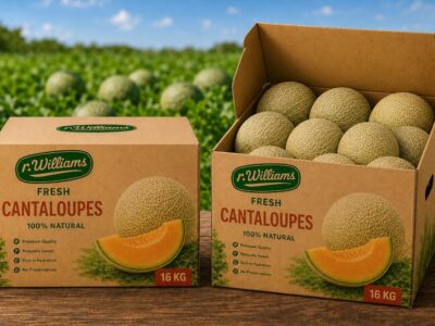 cantaloupes