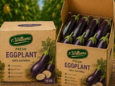 eggplant